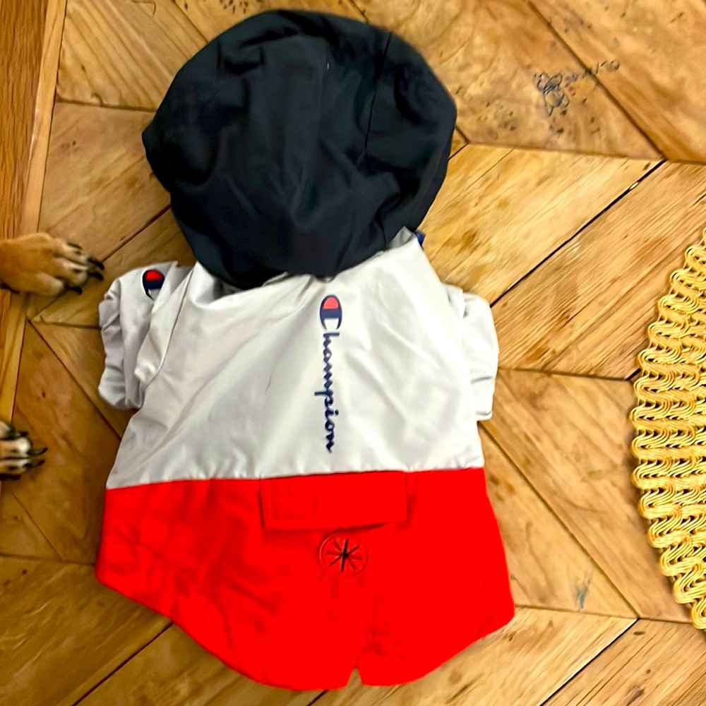 Small Champion Dog Raincoat